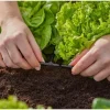 GARDENA T-Stück Micro-Drip-System 3/16", 10 Stück