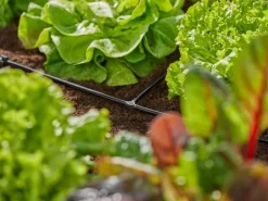 GARDENA T-Stück Micro-Drip-System 3/16