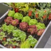 GARDENA Verschlussstopfen Micro-Drip-System 4.6 mm (3/16"), 10 Stück