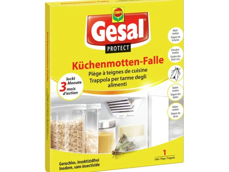 Gesal Protect Küchenmotten-Falle 1 Stück