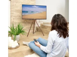 Hama Technics AG TV-Ständer (Staffelei) 75