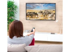 Hama Technics AG TV-Wandhalterung 48