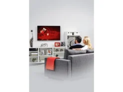 Hama Technics AG TV-Wandhalterung 100