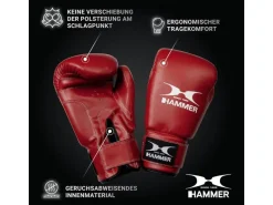 HAMMER Box-Set FIT