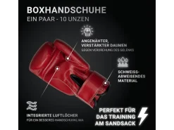 HAMMER Box-Set FIT