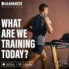 HAMMER Norsk Laufband FlyRun 4.0 NorsK mit Holzdesign