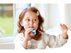 Hape Musikspielzeug Kinder-Kazoo