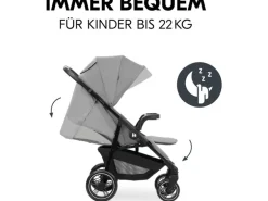 Hauck Buggy Shop N Care Grey