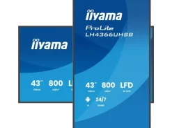 iiyama Public Display ProLite LH4366UHSB-B1AG 43 