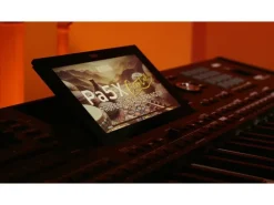 Korg Keyboard Pa5X 61 Oriental