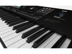 Korg Keyboard Pa5X 61 Oriental