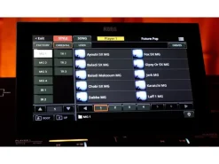 Korg Keyboard Pa5X 61 Oriental