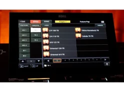 Korg Keyboard Pa5X 61 Oriental