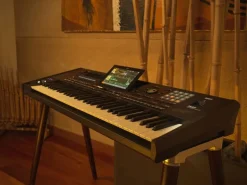 Korg Keyboard Pa5X 61 Oriental