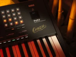Korg Keyboard Pa5X 61 Oriental
