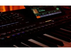 Korg Keyboard Pa5X 61 Oriental