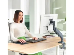 Leitz Workplace Ergo Single Monitorarm