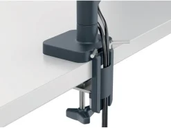Leitz Workplace Ergo Single Monitorarm