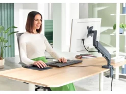 Leitz Workplace Ergo Single Monitorarm