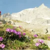 LEKI Wanderstock Makalu FX TA Schwarz/Dunkelblau