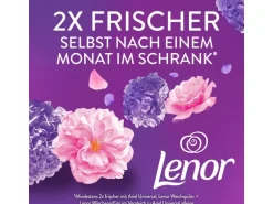 Lenor Wäscheparfüm Blütentraum 0.495 kg