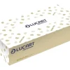 Lucart Eco Natural Kosmetiktuch 2-lagig braun, 100 Tücher