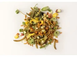 Lucky Reptile Alleinfutter Bearded Dragon Mix Adult, 70 g