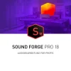 Magix Sound Forge Pro 18 ESD, Vollversion