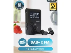 Majority Petersfield Go DAB+, mit Akku