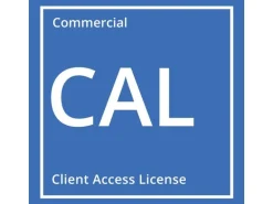 Microsoft Windows Server 2025 User CAL 5er-Pack, OEM, Englisch
