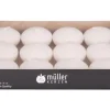 müller Kerzen Schwimmkerze 3 x 4.5 cm, Crème, 12 Stück