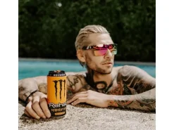 Monster Energy Drink Rehab 12 x 500 ml