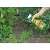Neudorff Herbizid Finalsan AF UnkrautFrei Plus, 750 ml