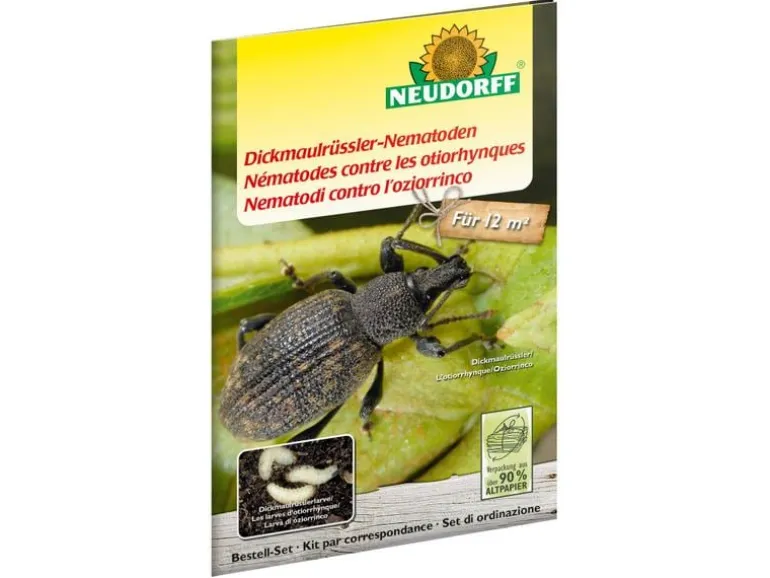 Neudorff Nematoden Gutschein Dickmaulrüssler
