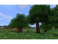 Nintendo Minecraft: Nintendo Switch Edition (Box)