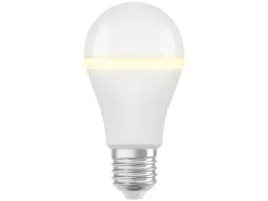 OSRAM LED Superstar+ mit Nachtlichtfunktion E27 8W 806 lm