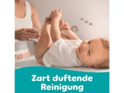 Pampers Feuchttücher Fresh Clean Aloe 15 x 80 Stk.