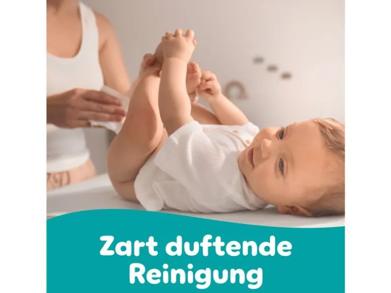 Pampers Feuchttücher Fresh Clean Aloe 15 x 80 Stk.