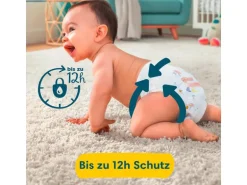 Pampers Windeln Premium Protection + Cocon Töpfchen Grösse 3