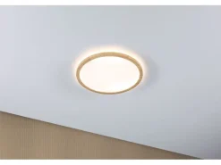 Paulmann Deckenleuchte LED Panel Atria Shine Backlight