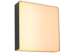 Paulmann LED Aussenwandleuchte Azalena, Smart Home Zigbee 3.0