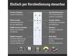 Paulmann LED Pendelleuchte Raiko, Schwarz