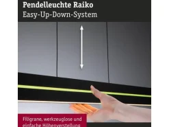 Paulmann LED Pendelleuchte Raiko, Schwarz