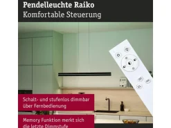Paulmann LED Pendelleuchte Raiko, Schwarz