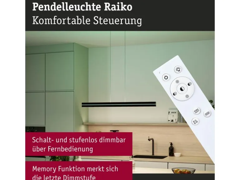 Paulmann LED Pendelleuchte Raiko, Schwarz