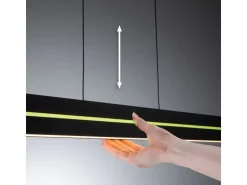 Paulmann LED Pendelleuchte Raiko, Schwarz