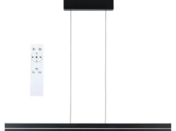 Paulmann LED Pendelleuchte Raiko, Schwarz