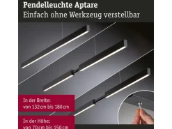Paulmann LED Pendelleuchte Smart Home Zigbee, Schwarz