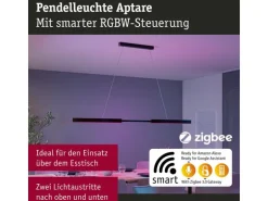 Paulmann LED Pendelleuchte Smart Home Zigbee, Schwarz