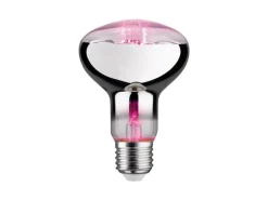 Paulmann Leuchtmittel Grow Green R80 E27, 6.5 W